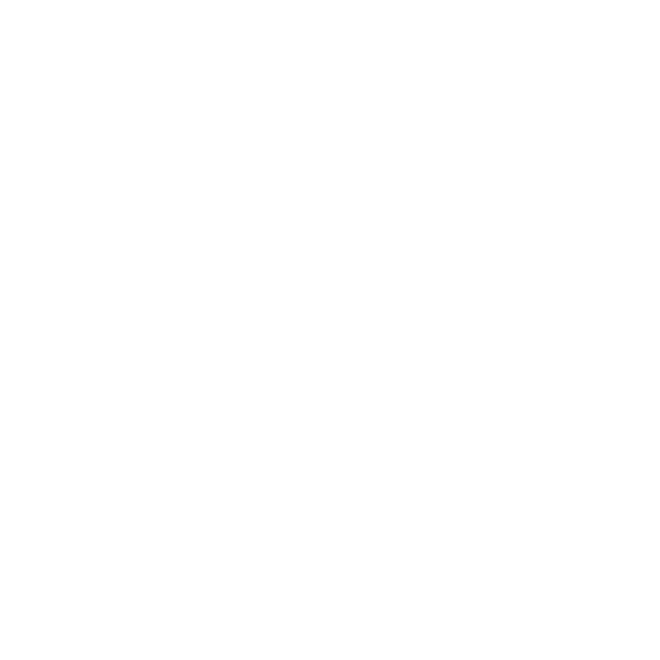 Cicis grows organic search