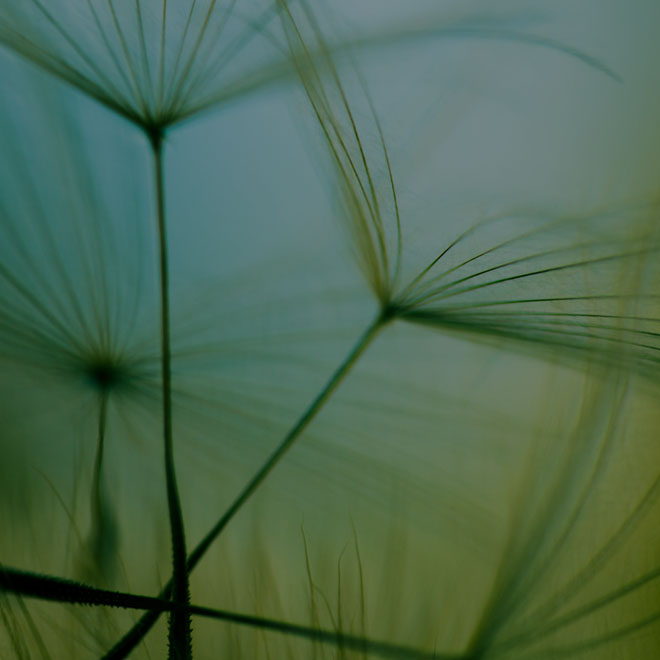 Duplicate listings hurt local search rankings